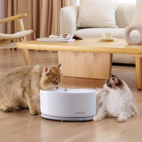 water_fountain_for_cat